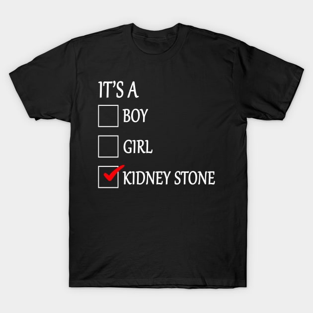 Kidney Stone Funny Checklist Gift T-Shirt by savariya